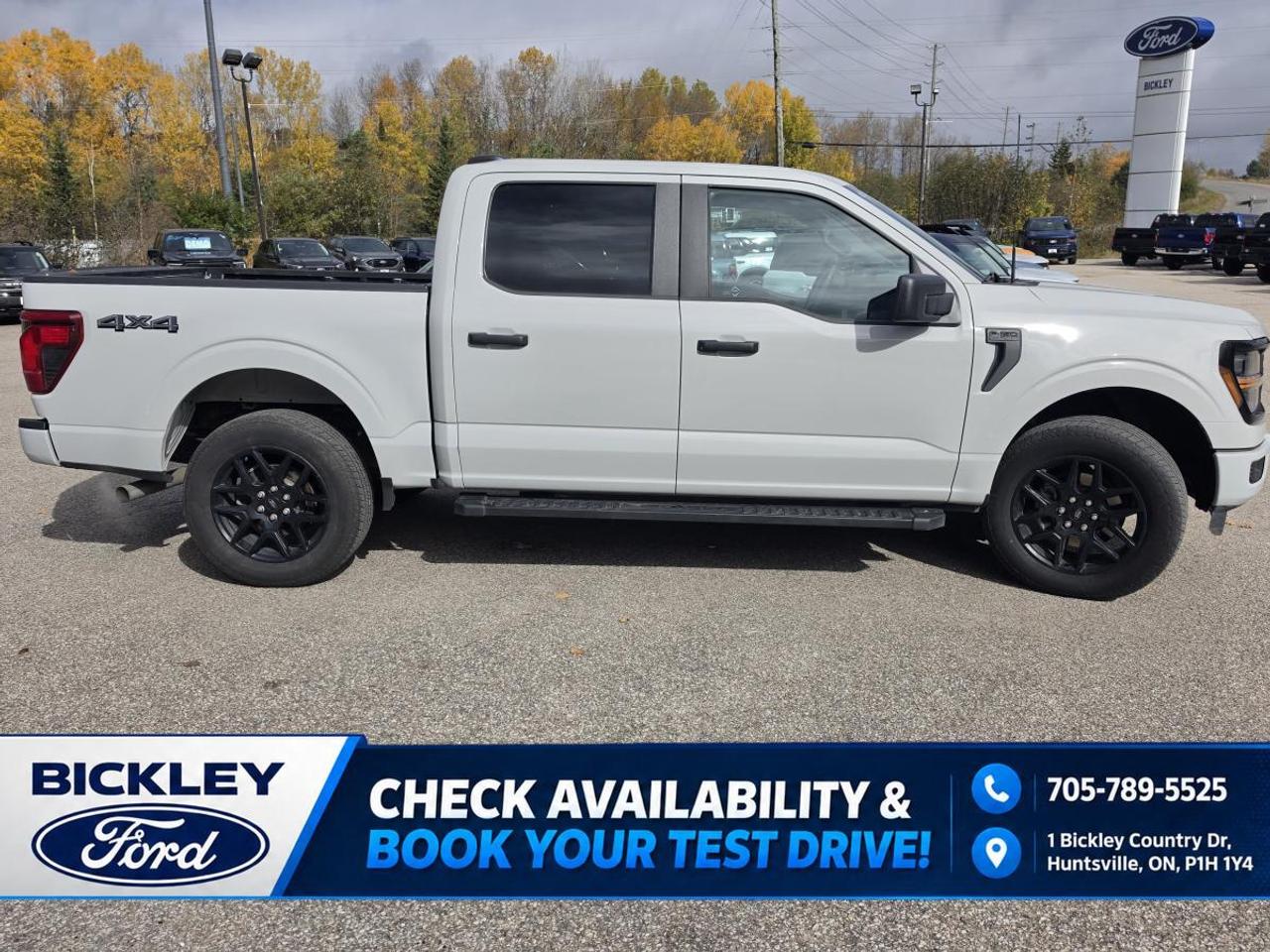 2024 Ford F-150 STX Photo