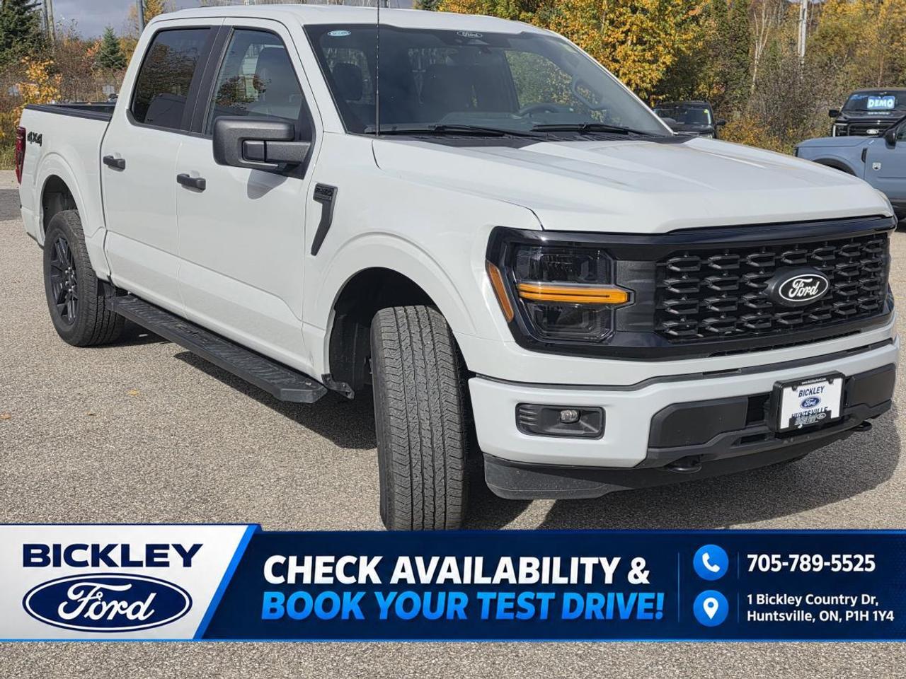 2024 Ford F-150 STX Photo