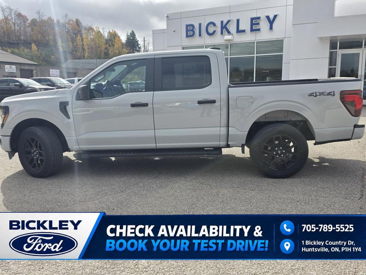 2024 Ford F-150 STX Photo