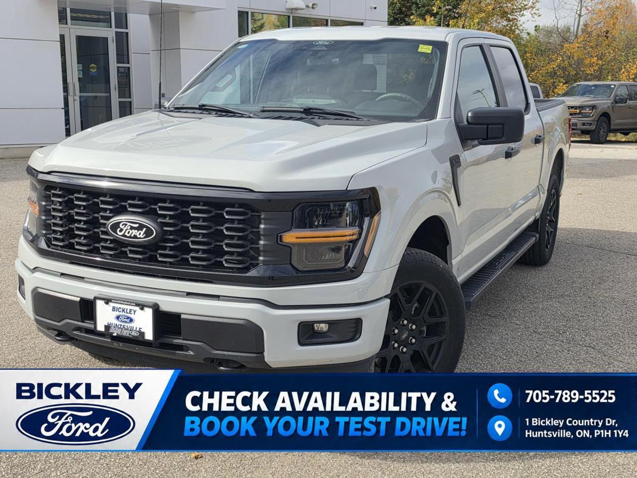 2024 Ford F-150 STX Photo0