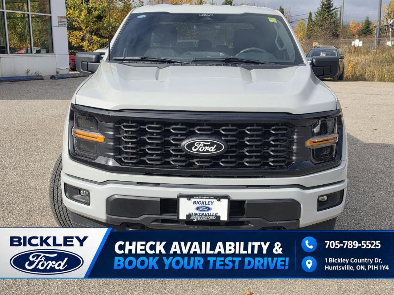 2024 Ford F-150 STX Photo5