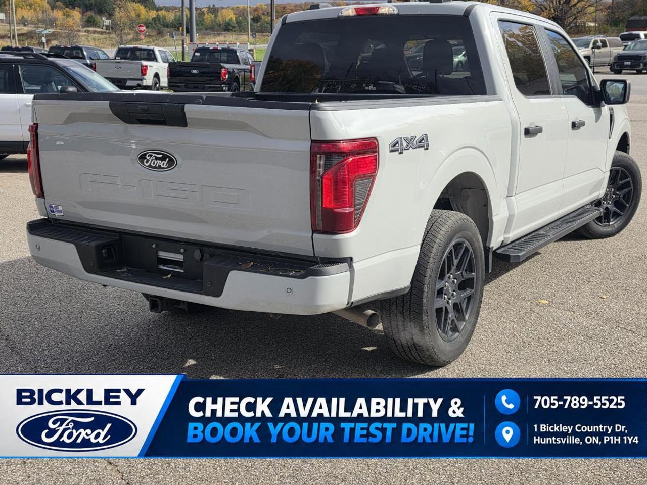 2024 Ford F-150 STX Photo