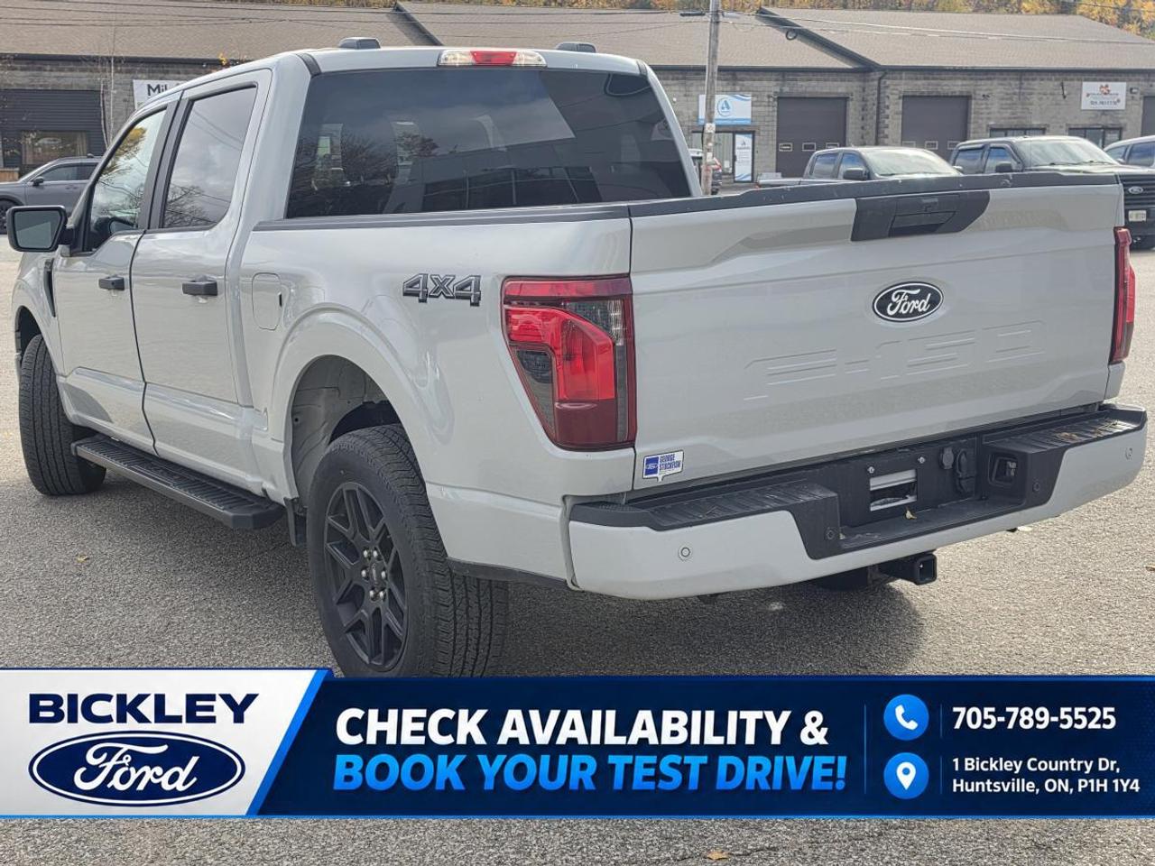 2024 Ford F-150 STX Photo