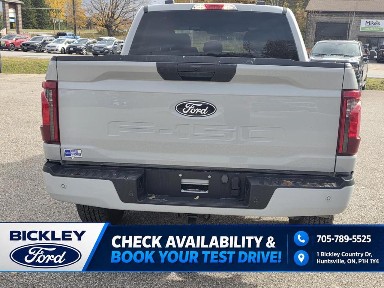 2024 Ford F-150 STX Photo