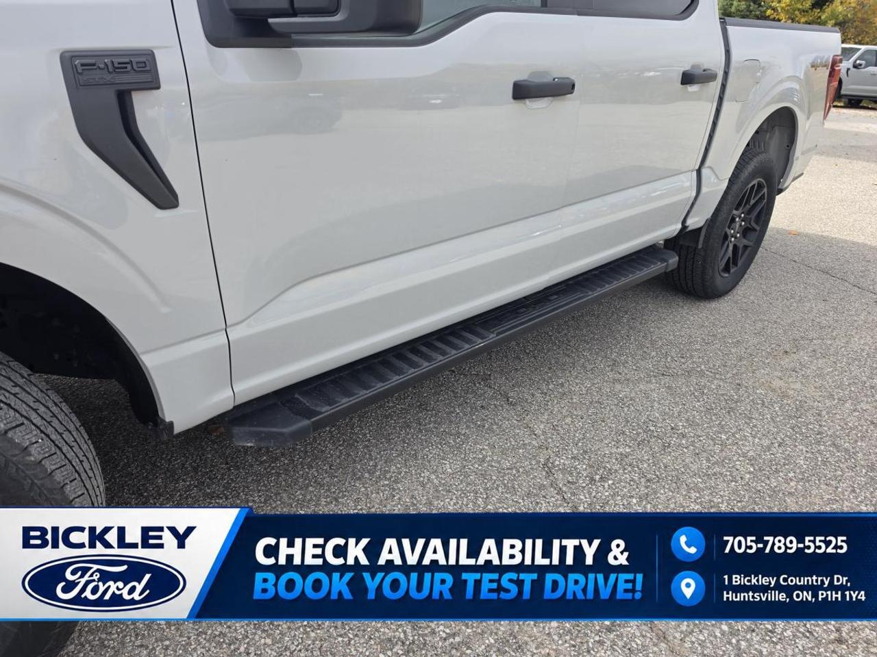 2024 Ford F-150 STX Photo