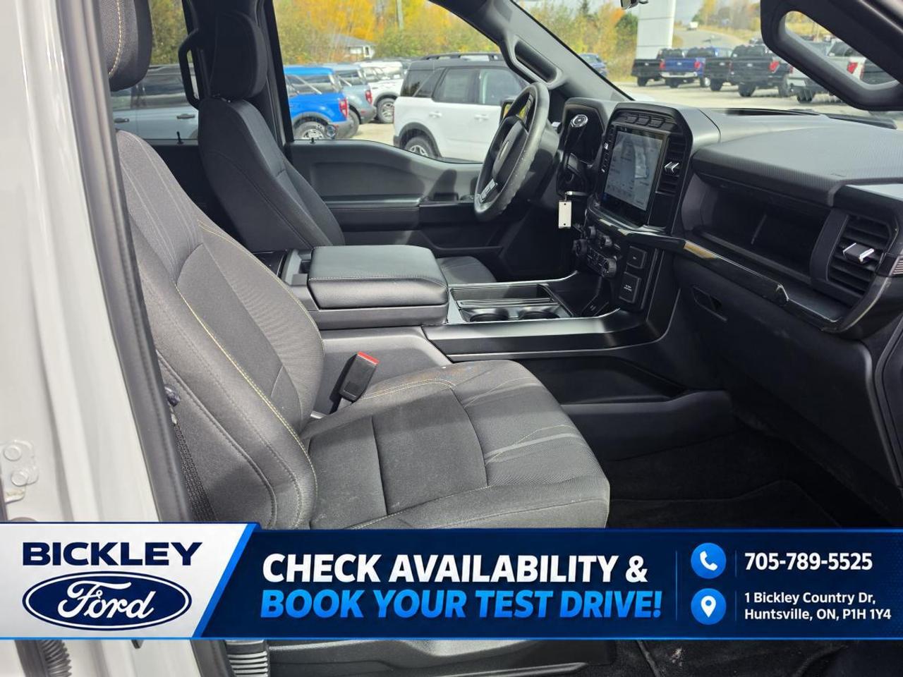 2024 Ford F-150 STX Photo