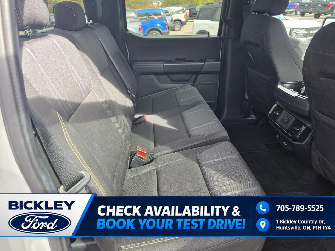 2024 Ford F-150 STX Photo