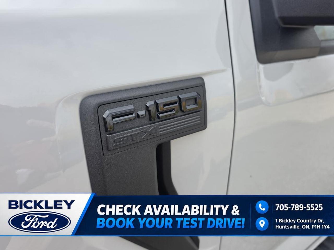 2024 Ford F-150 STX Photo
