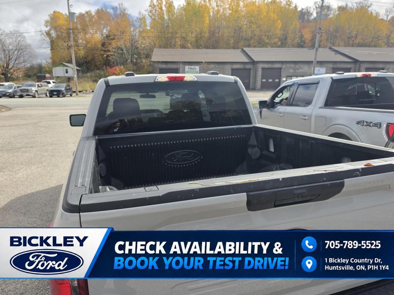 2024 Ford F-150 STX Photo