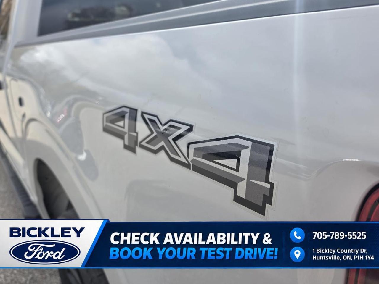 2024 Ford F-150 STX Photo