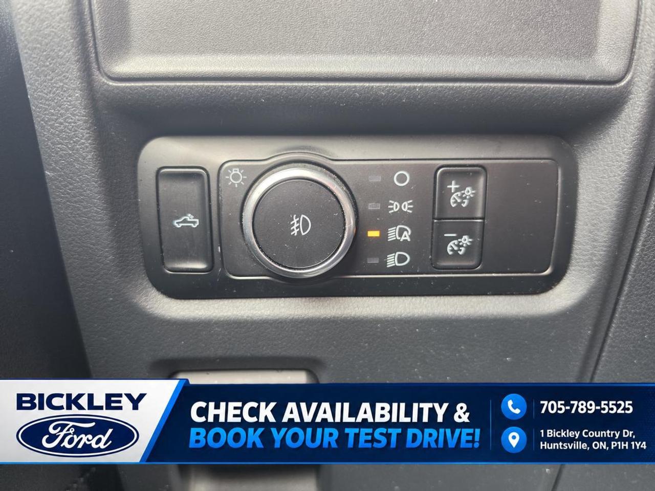 2024 Ford F-150 STX Photo