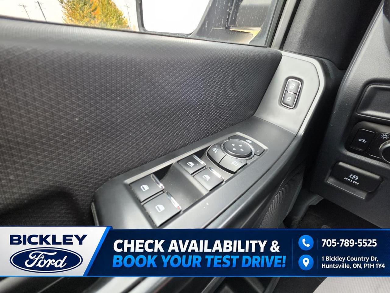 2024 Ford F-150 STX Photo