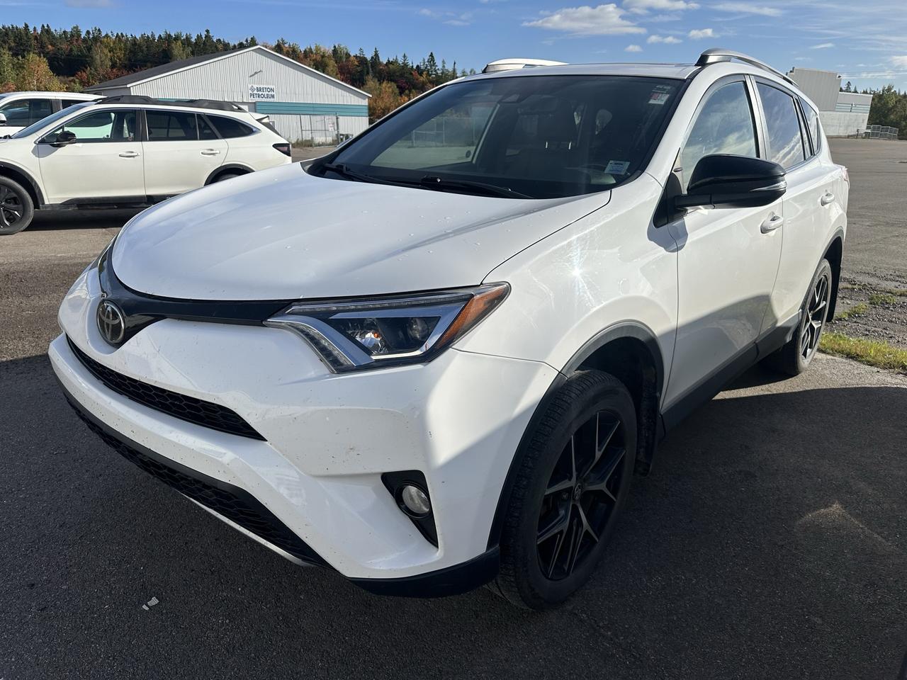 2018 Toyota RAV4 AWD SE Photo0