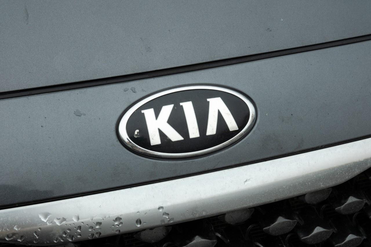 2017 Kia Sedona 4dr Wgn L Photo