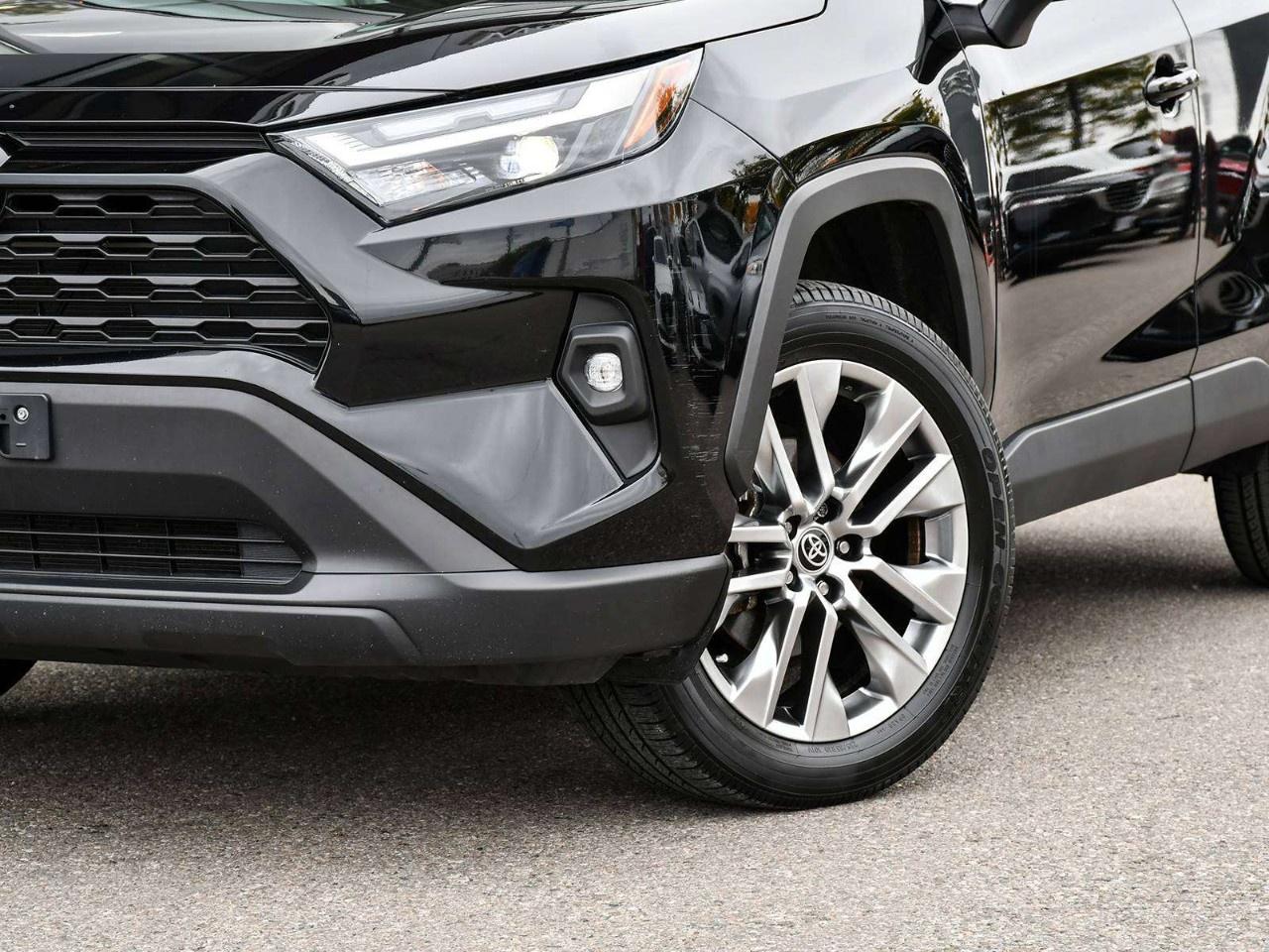 2025 Toyota RAV4 XLE AWD Photo