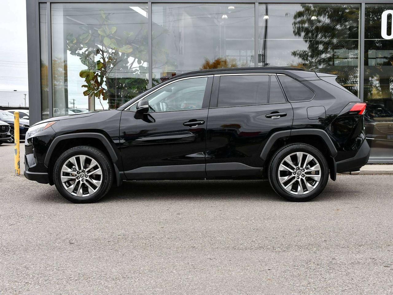 2025 Toyota RAV4 XLE AWD Photo