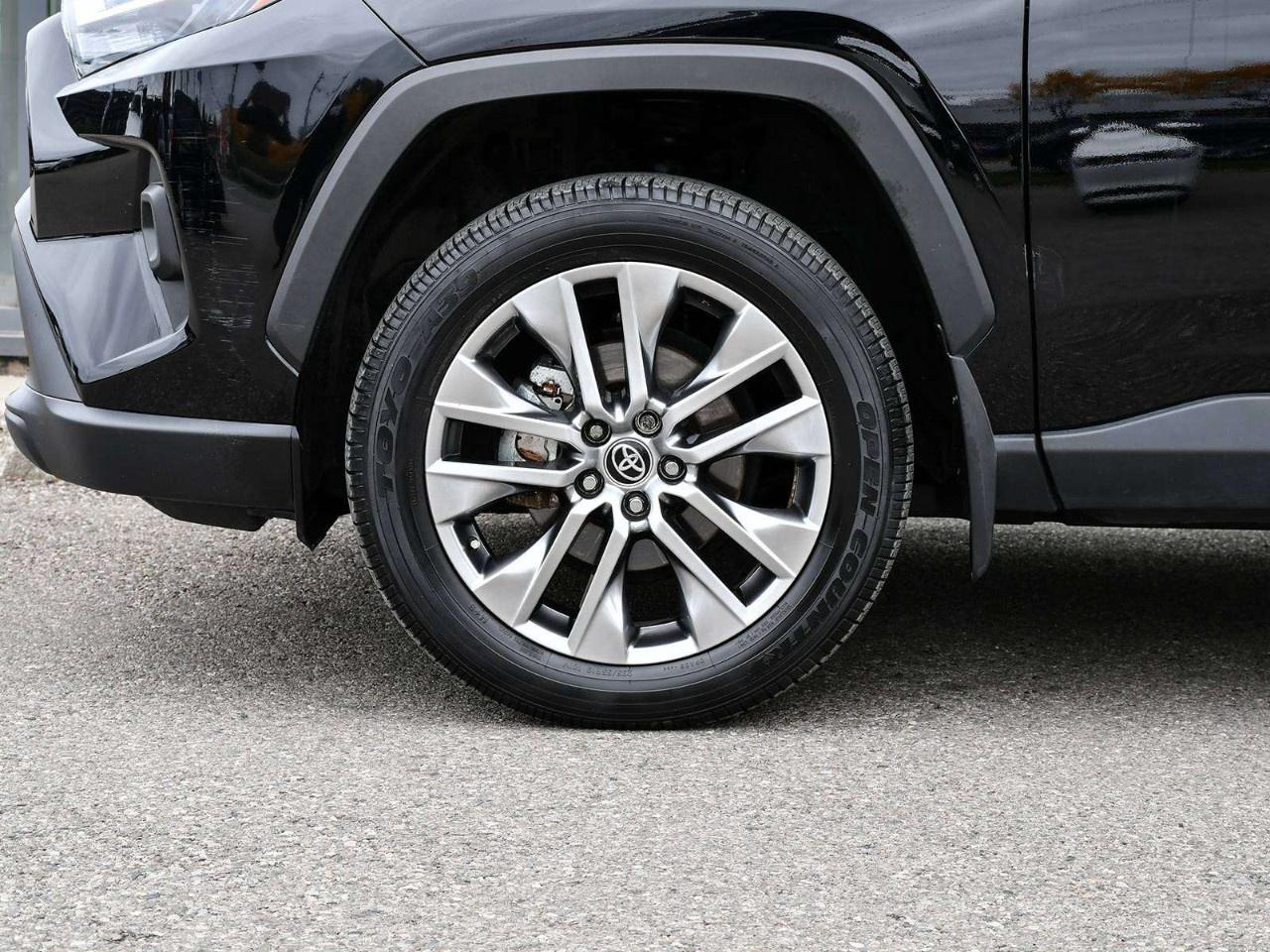 2025 Toyota RAV4 XLE AWD Photo