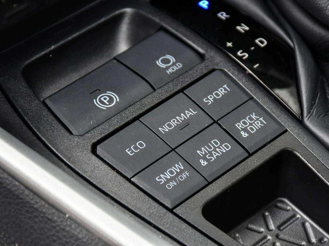2025 Toyota RAV4 XLE AWD Photo