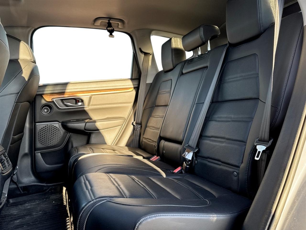 2020 Honda CR-V EX-L AWD Photo