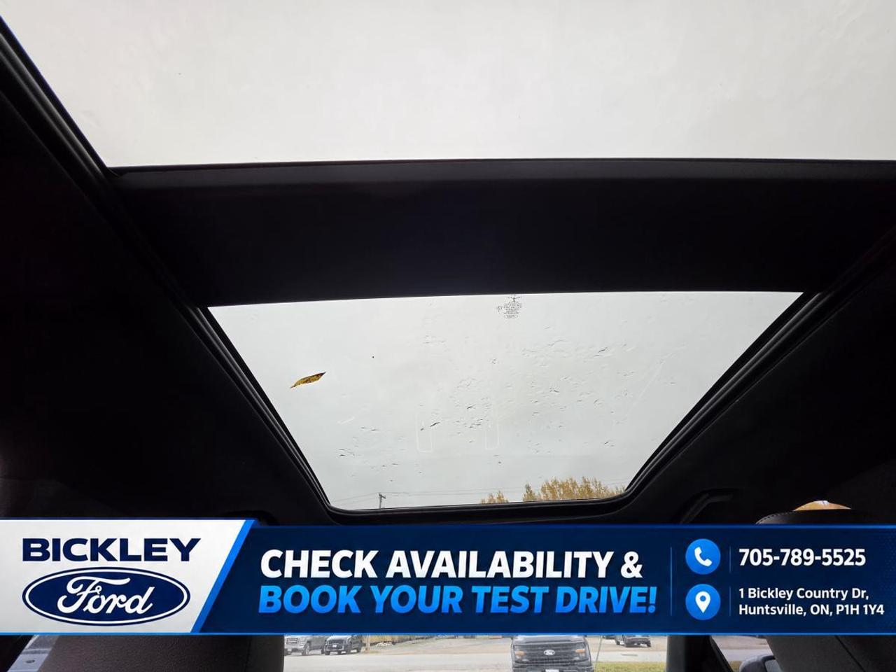 2022 Ford Edge ST Line Photo