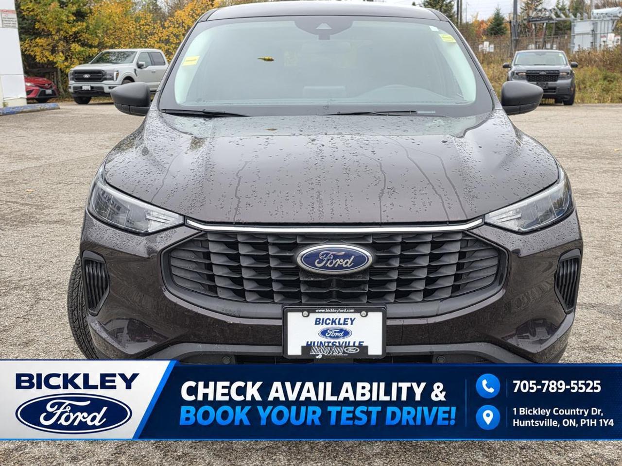 2023 Ford Escape Active Photo1
