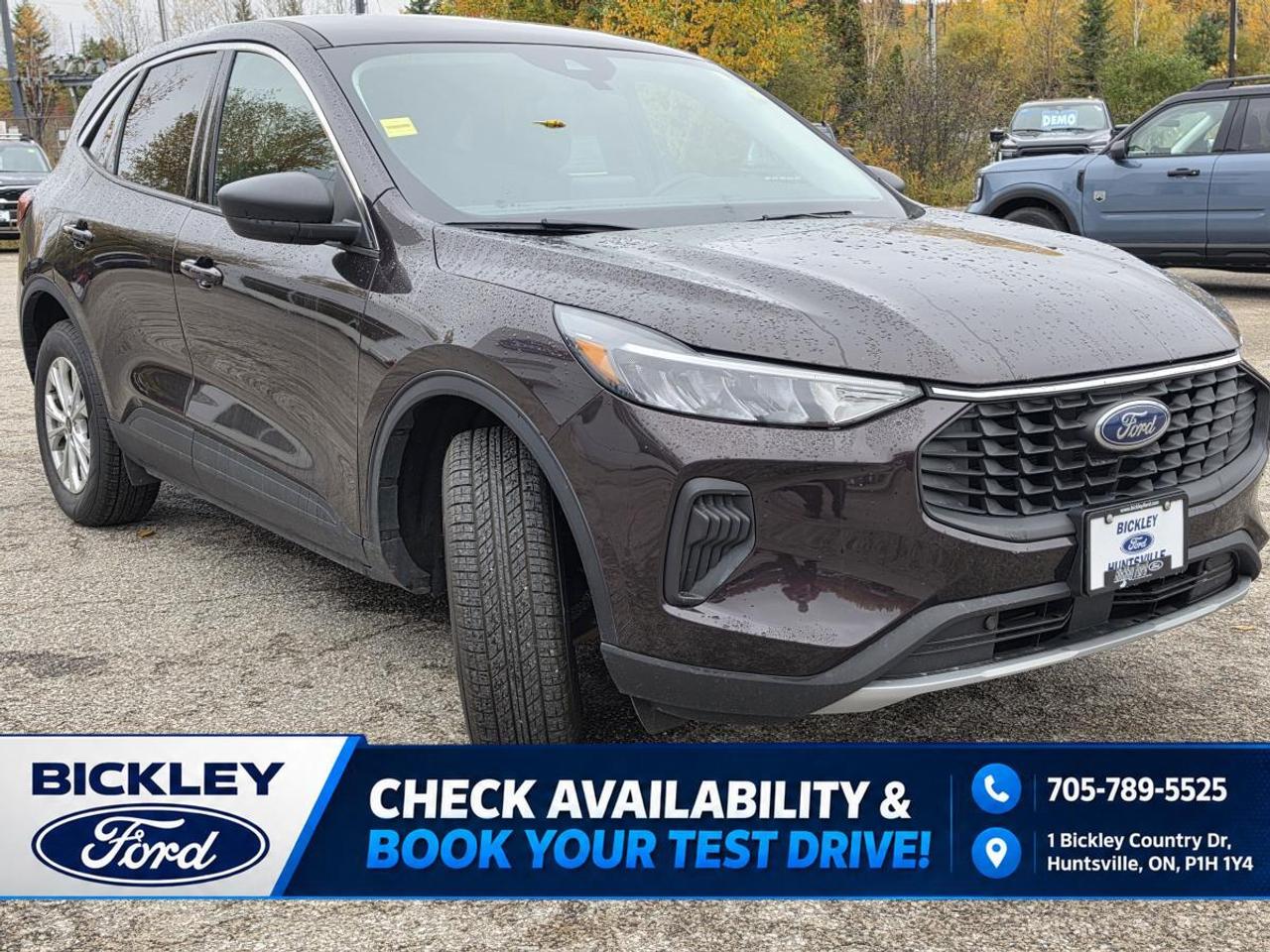 2023 Ford Escape Active Photo