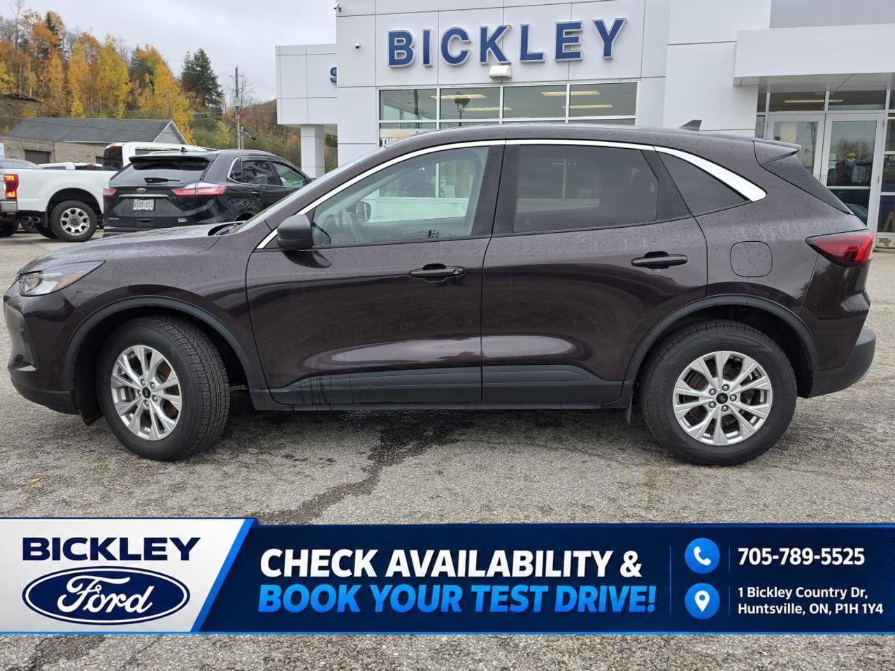 2023 Ford Escape Active Photo