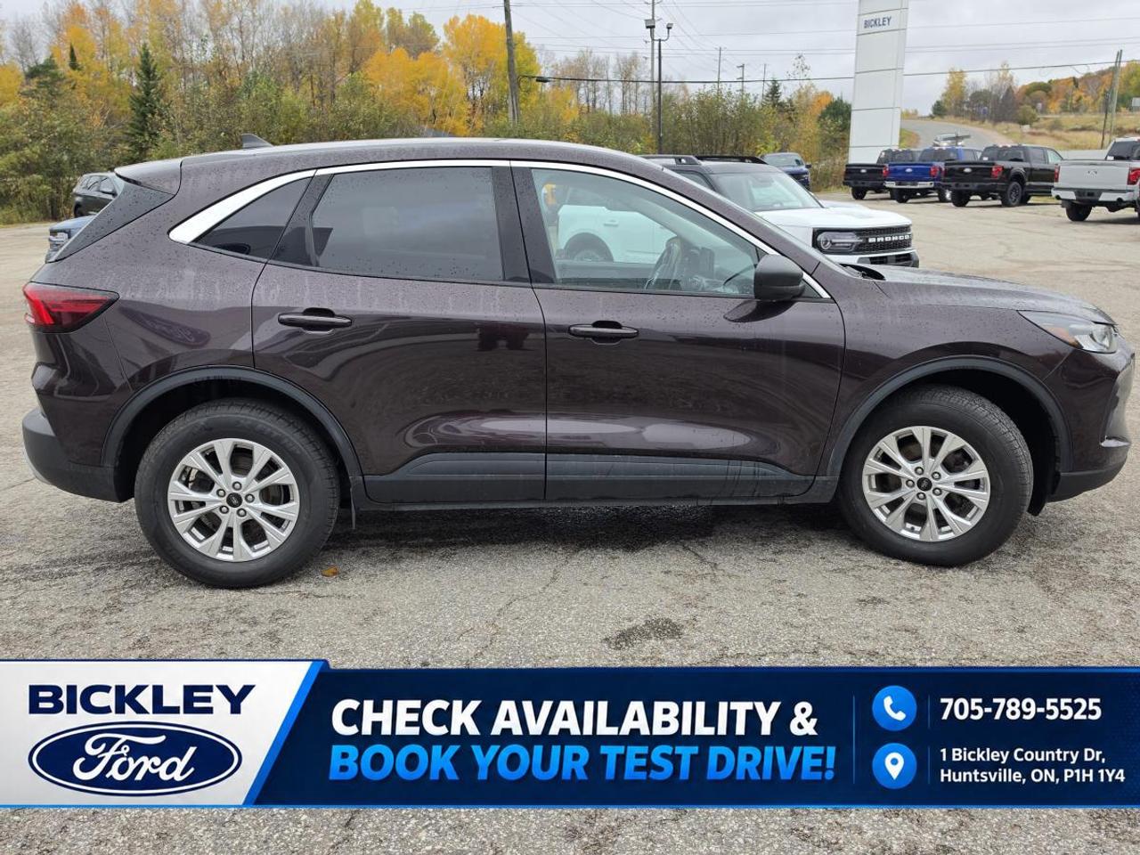 2023 Ford Escape Active Photo