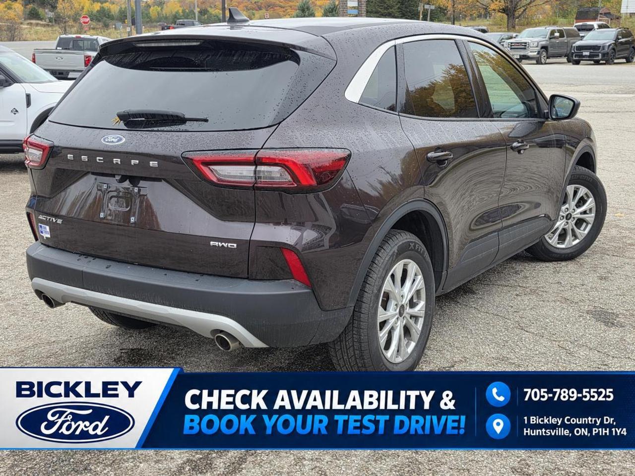 2023 Ford Escape Active Photo