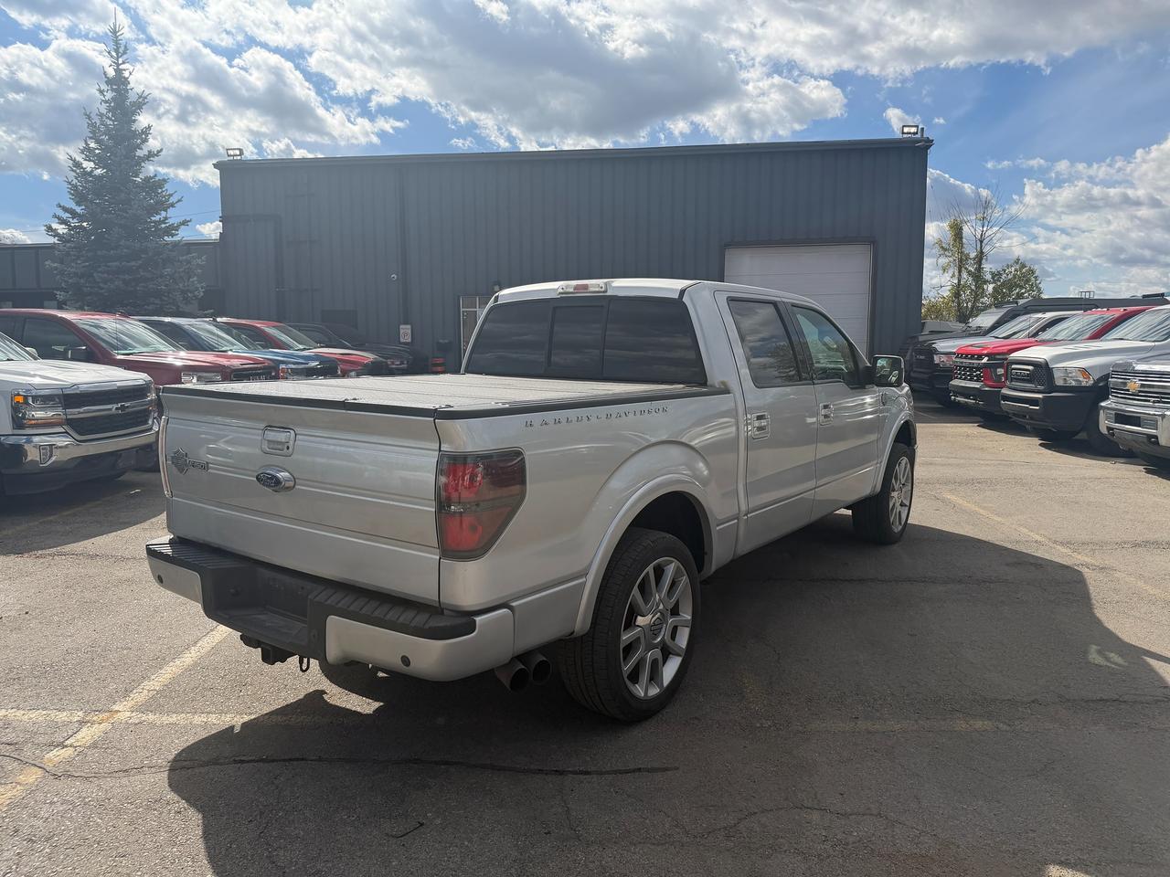 2011 Ford F-150 AWD SuperCrew 145" Harley-Davidson Photo