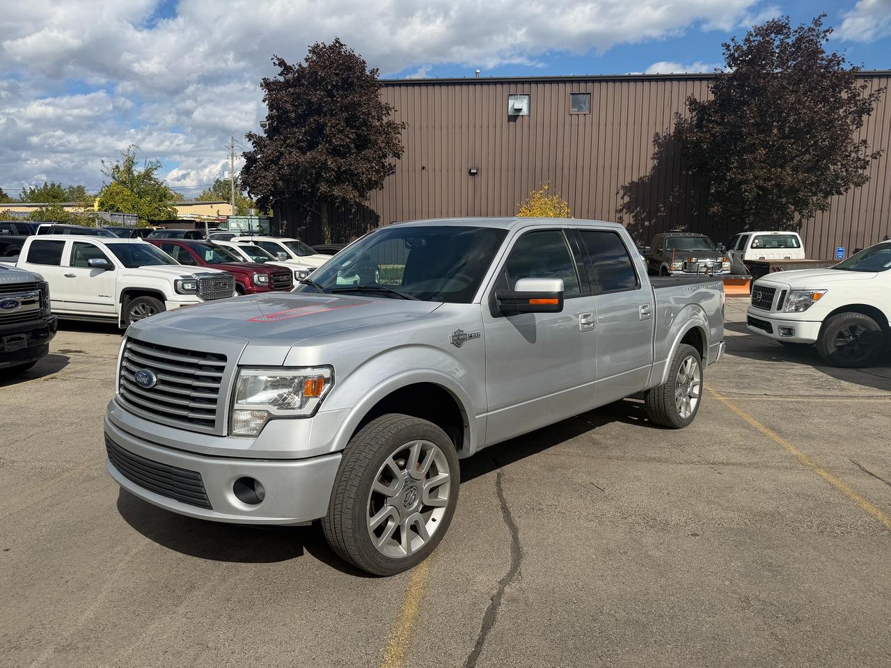 2011 Ford F-150 AWD SuperCrew 145" Harley-Davidson Photo