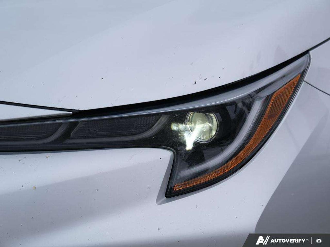 2020 Toyota Corolla  Photo