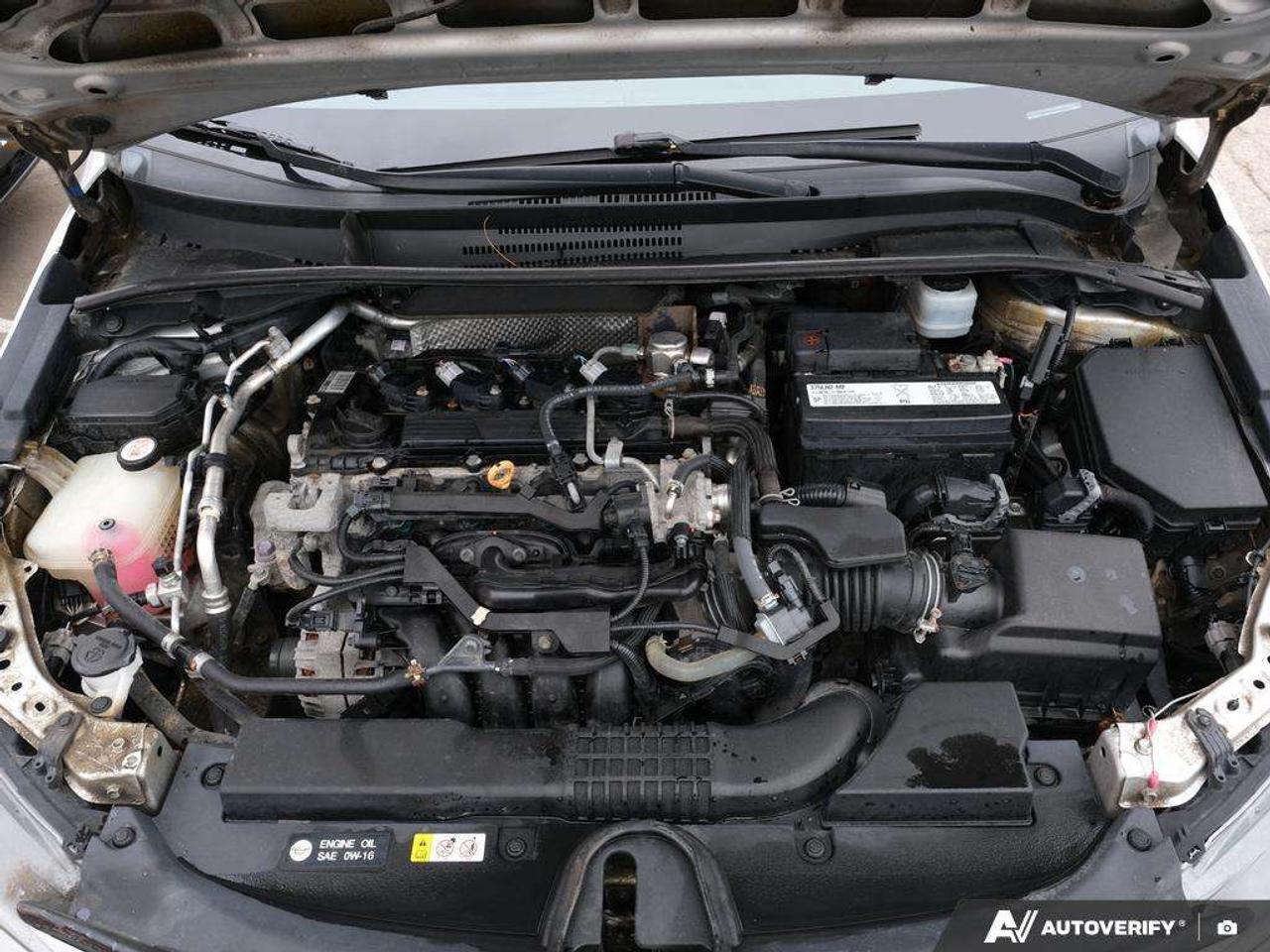 2020 Toyota Corolla  Photo