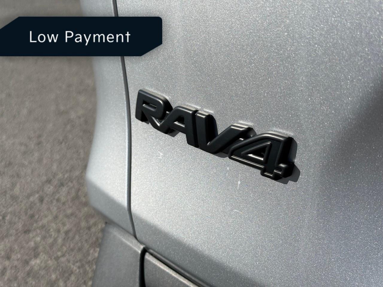 2021 Toyota RAV4 LE AWD Photo