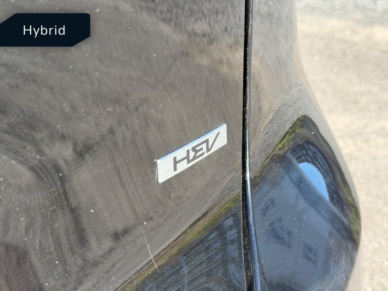 2024 Kia NIRO SX FWD Photo
