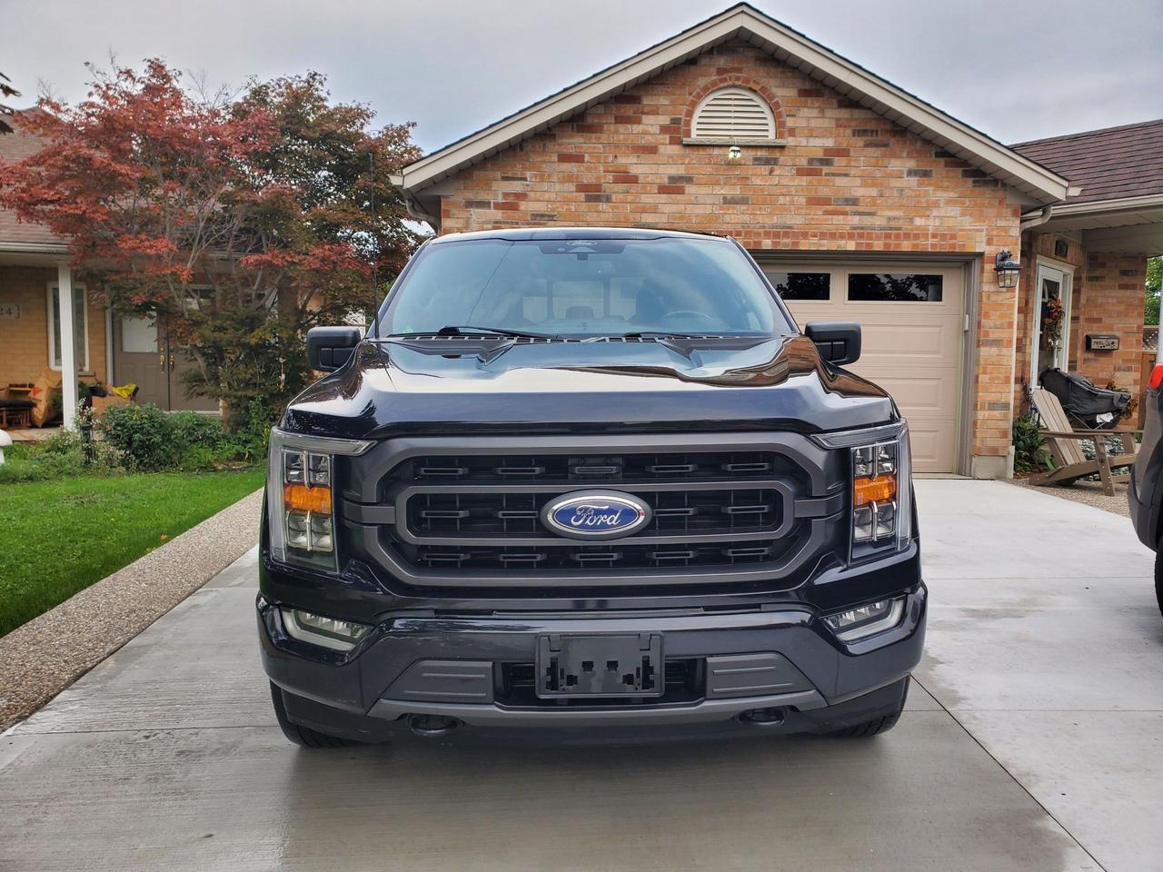 2022 Ford F-150 XLT Photo