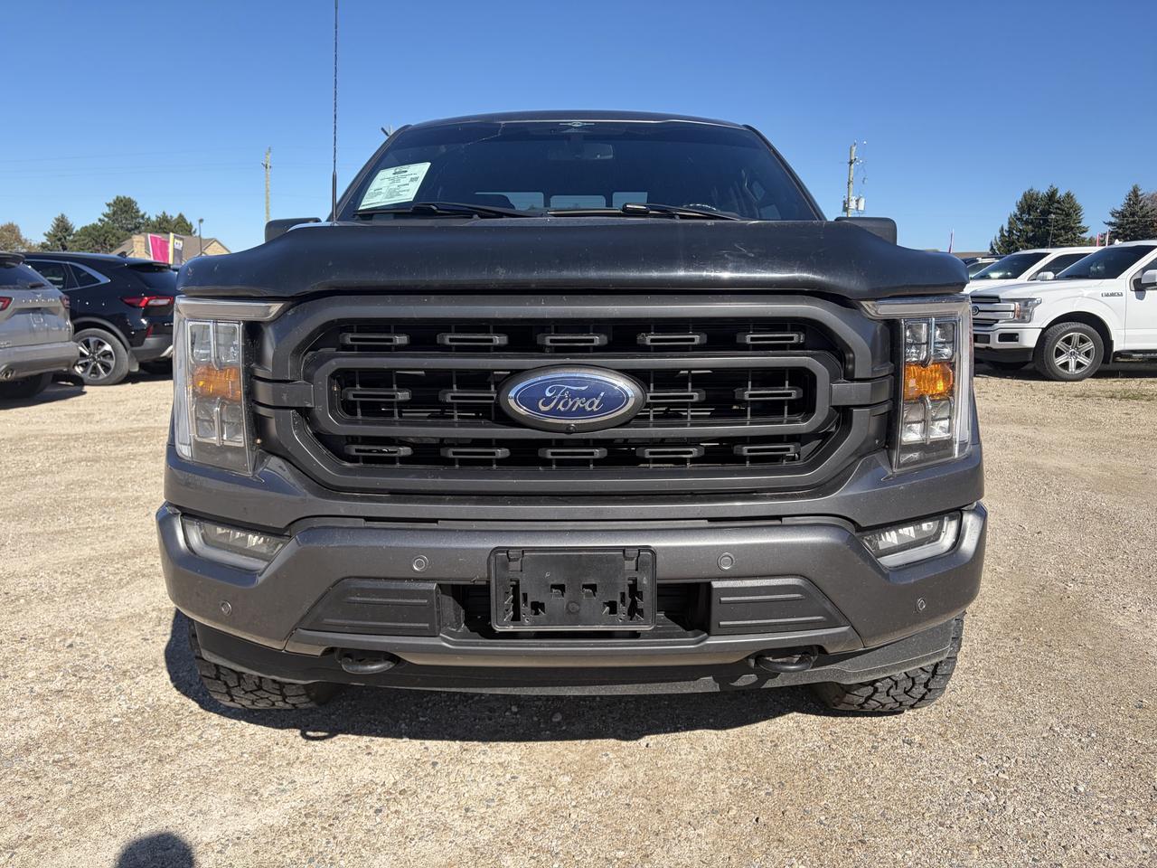 2023 Ford F-150 XLT 4WD SuperCrew 5.5' Box Photo2