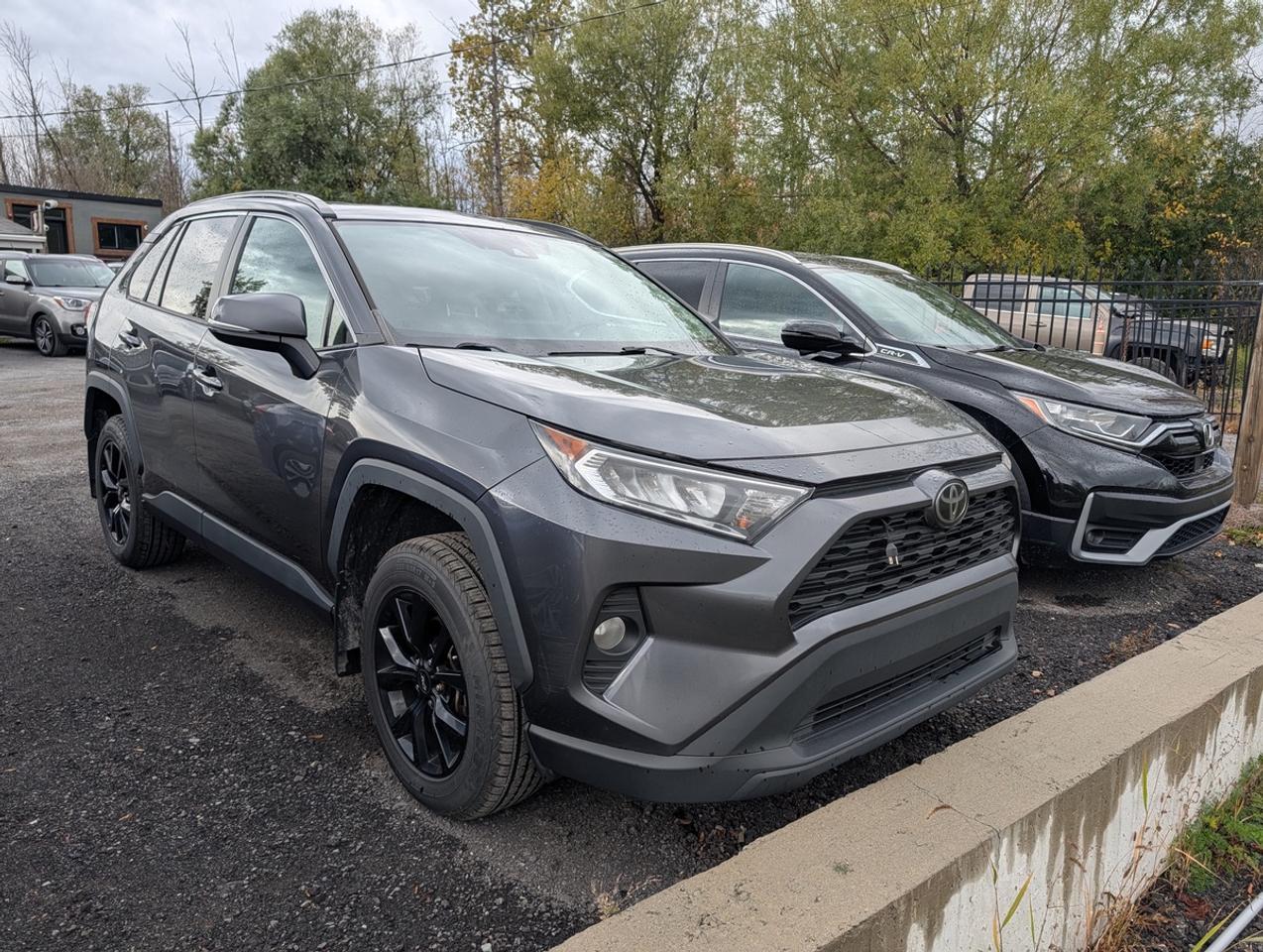 2019 Toyota RAV4 XLE Photo1