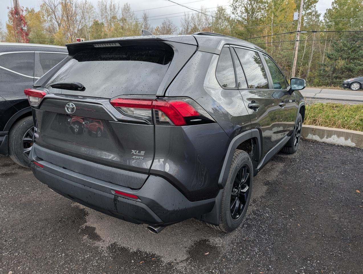 2019 Toyota RAV4 XLE Photo2