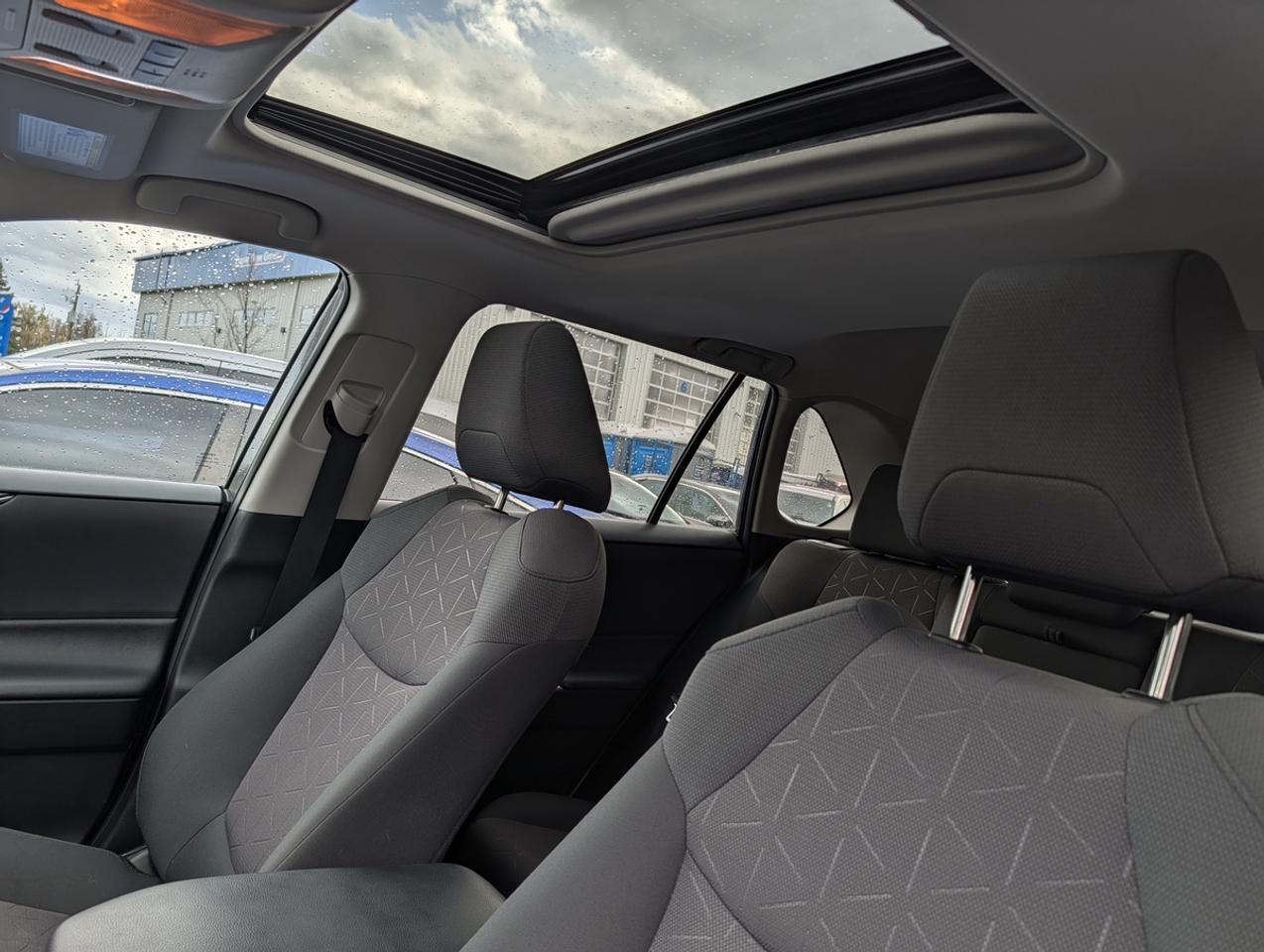 2019 Toyota RAV4 XLE Photo