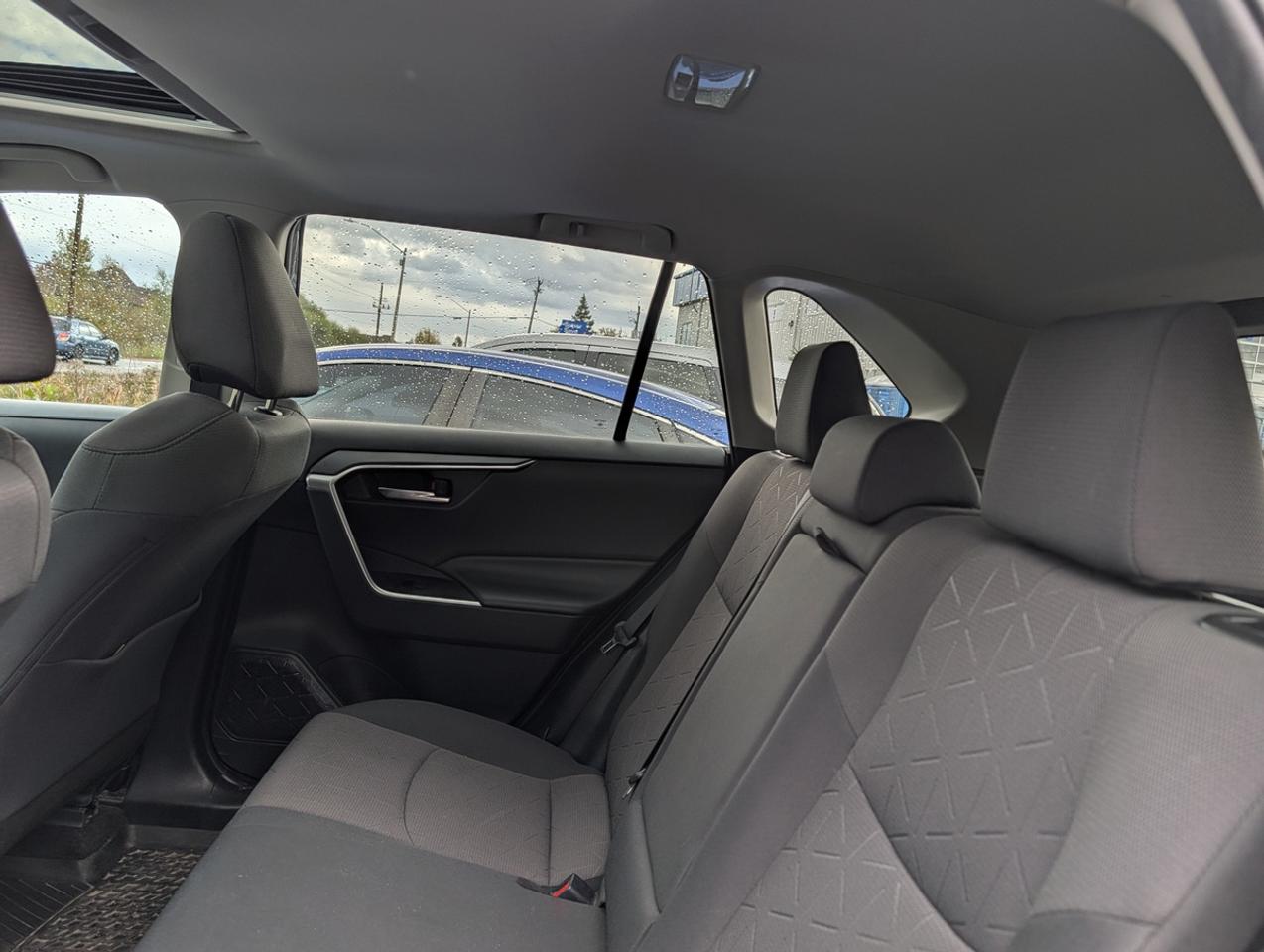 2019 Toyota RAV4 XLE Photo