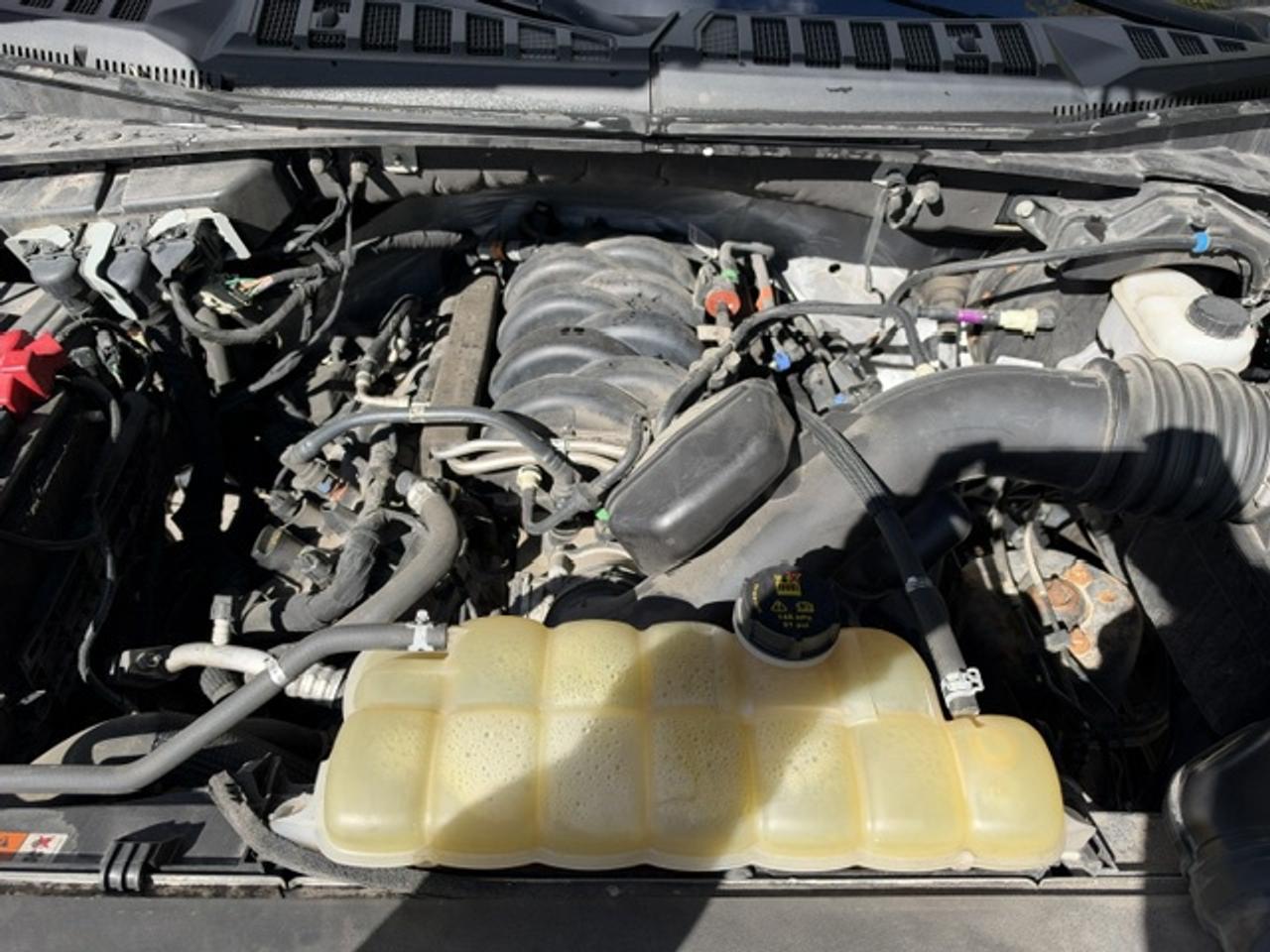 2020 Ford F-150 XLT CREW CAB STD BED 4WD SUPERCREW Photo