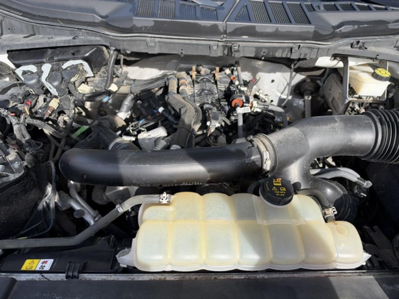 2021 Ford F-150 XL 4WD SUPERCREW SHORT BOX Photo