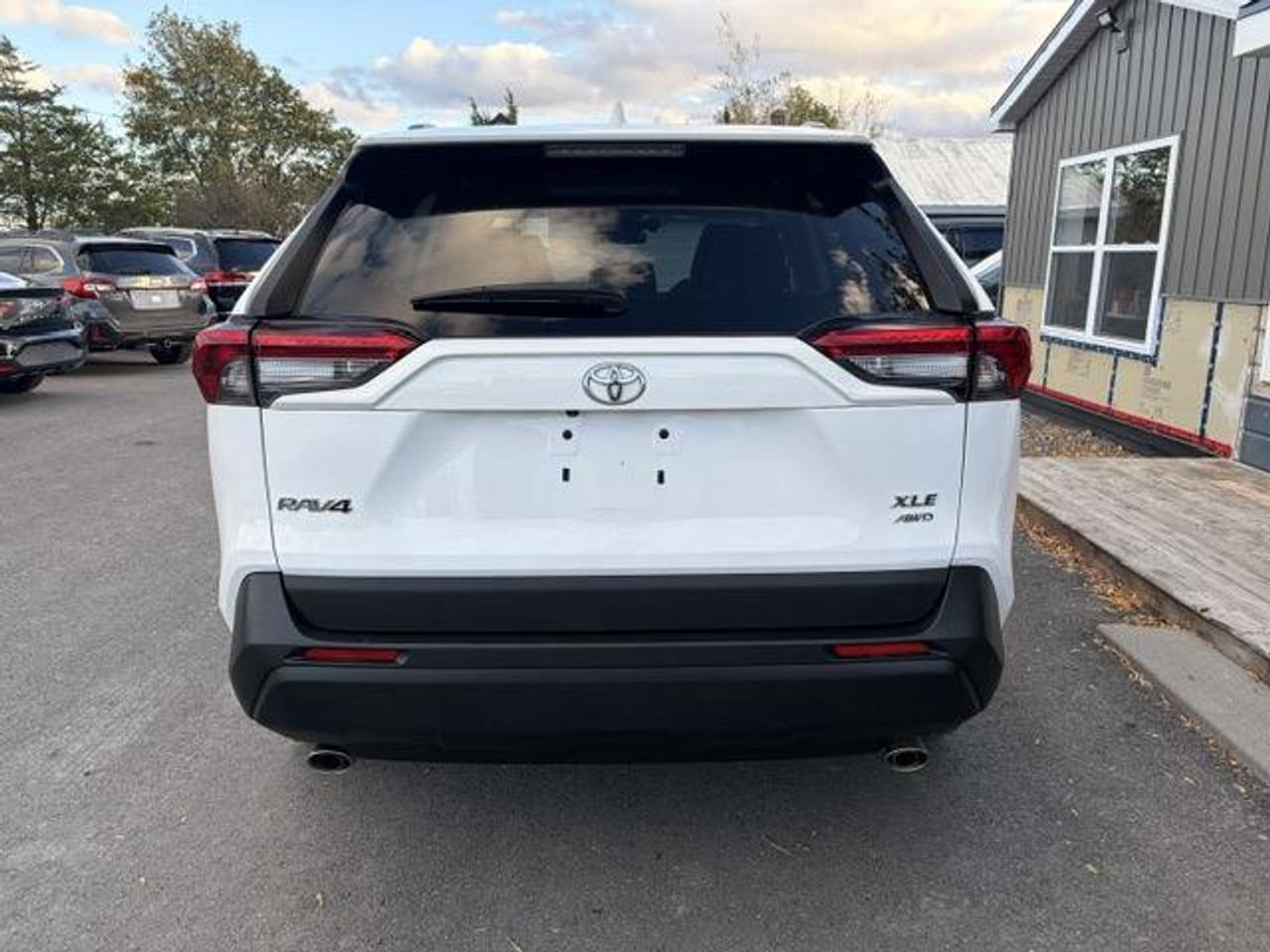 2020 Toyota RAV4 XLE 4dr All-wheel Drive Photo
