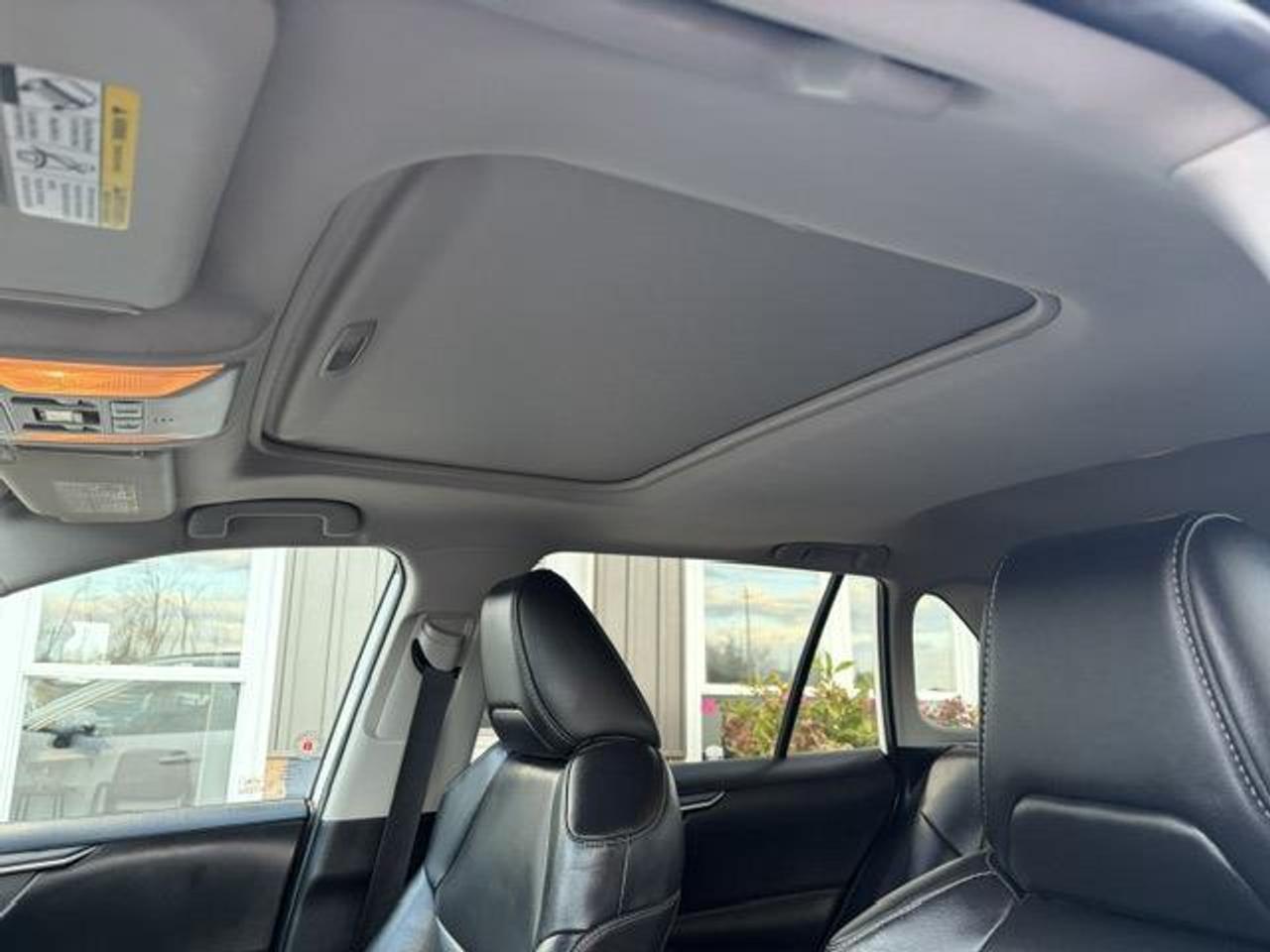 2020 Toyota RAV4 XLE 4dr All-wheel Drive Photo
