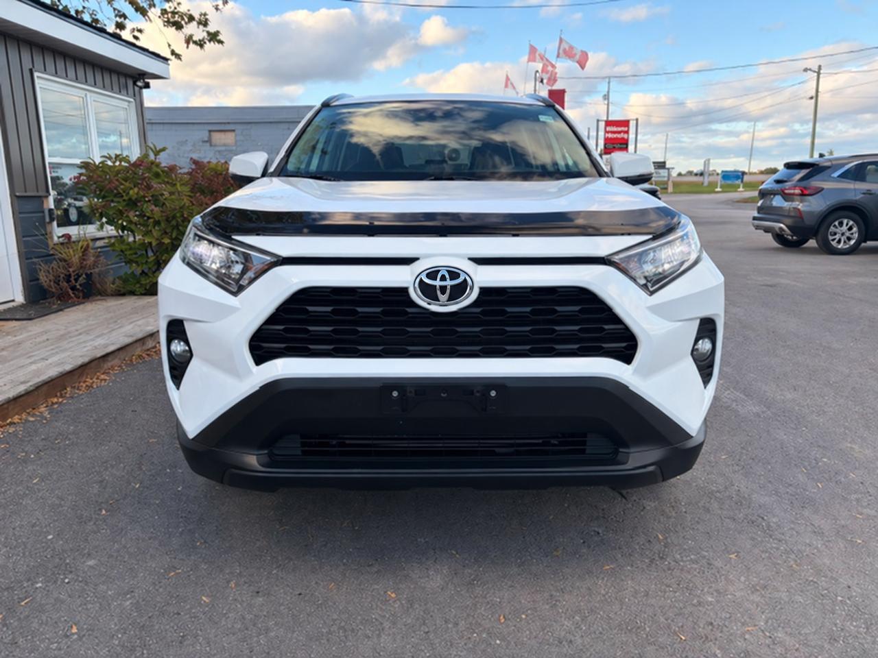 2020 Toyota RAV4 XLE 4dr All-wheel Drive Photo