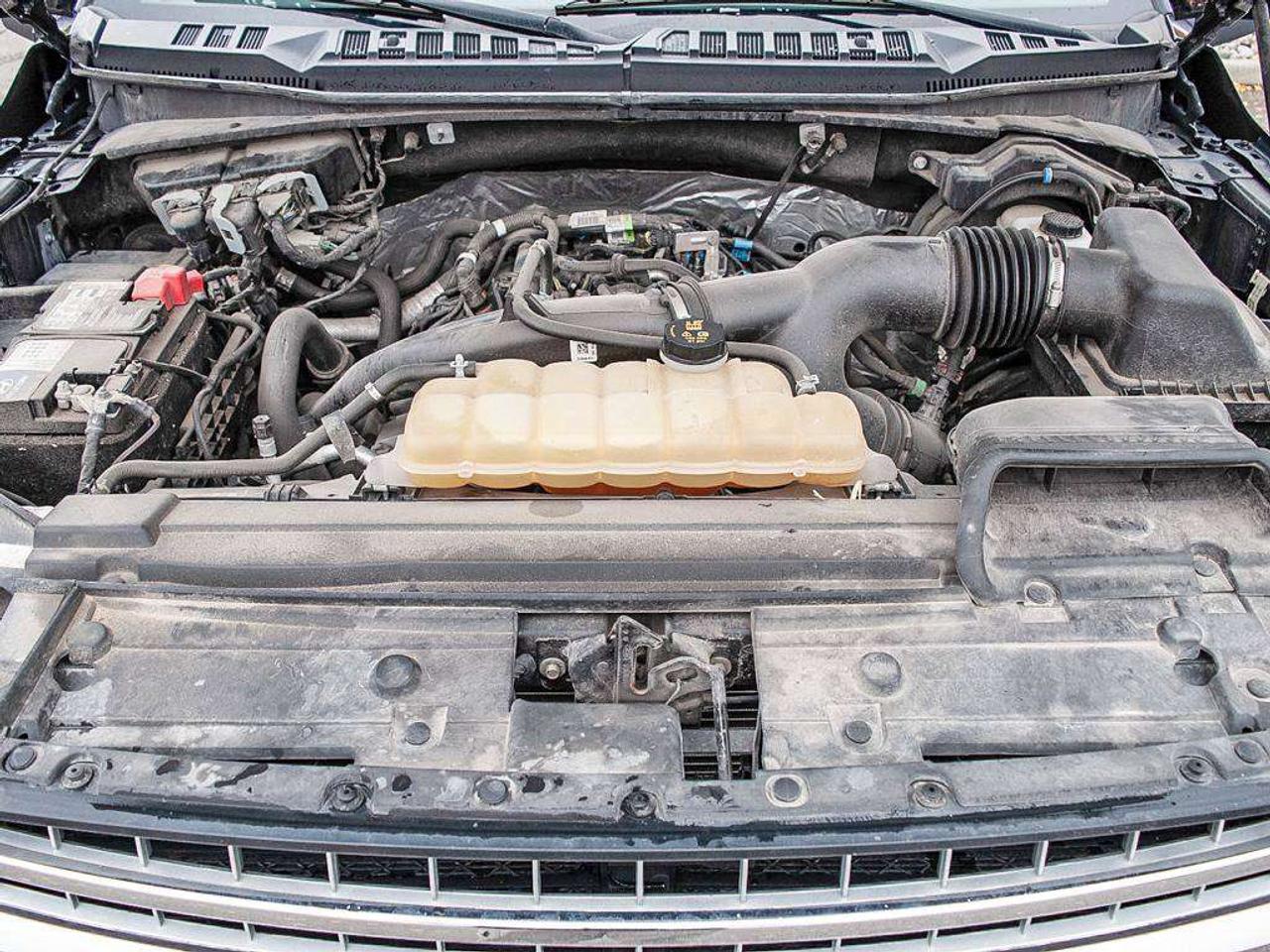 2020 Ford F-150 XLT Photo