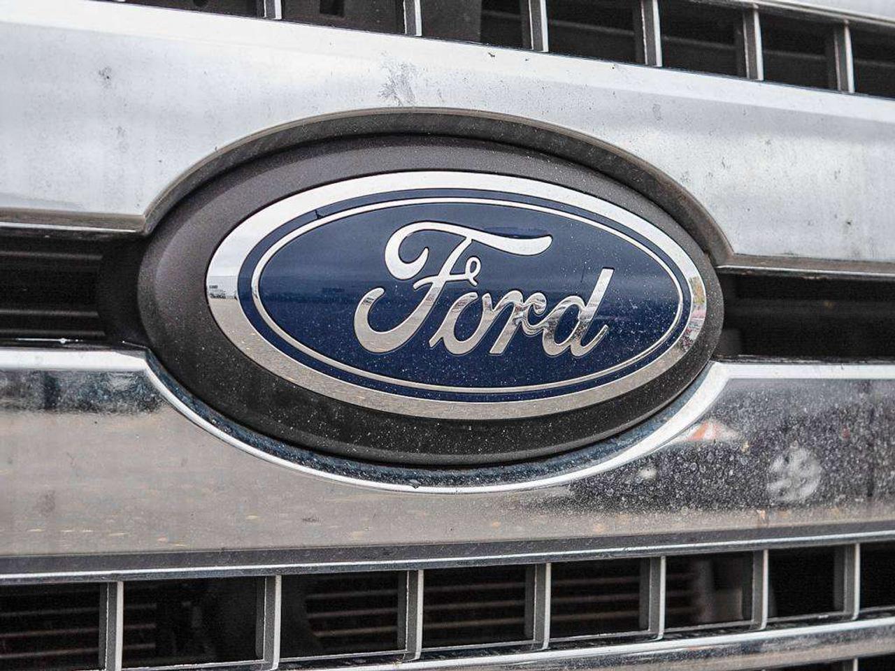 2020 Ford F-150 XLT Photo
