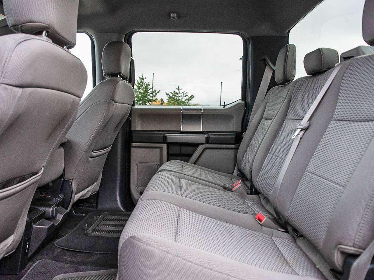 2020 Ford F-150 XLT Photo