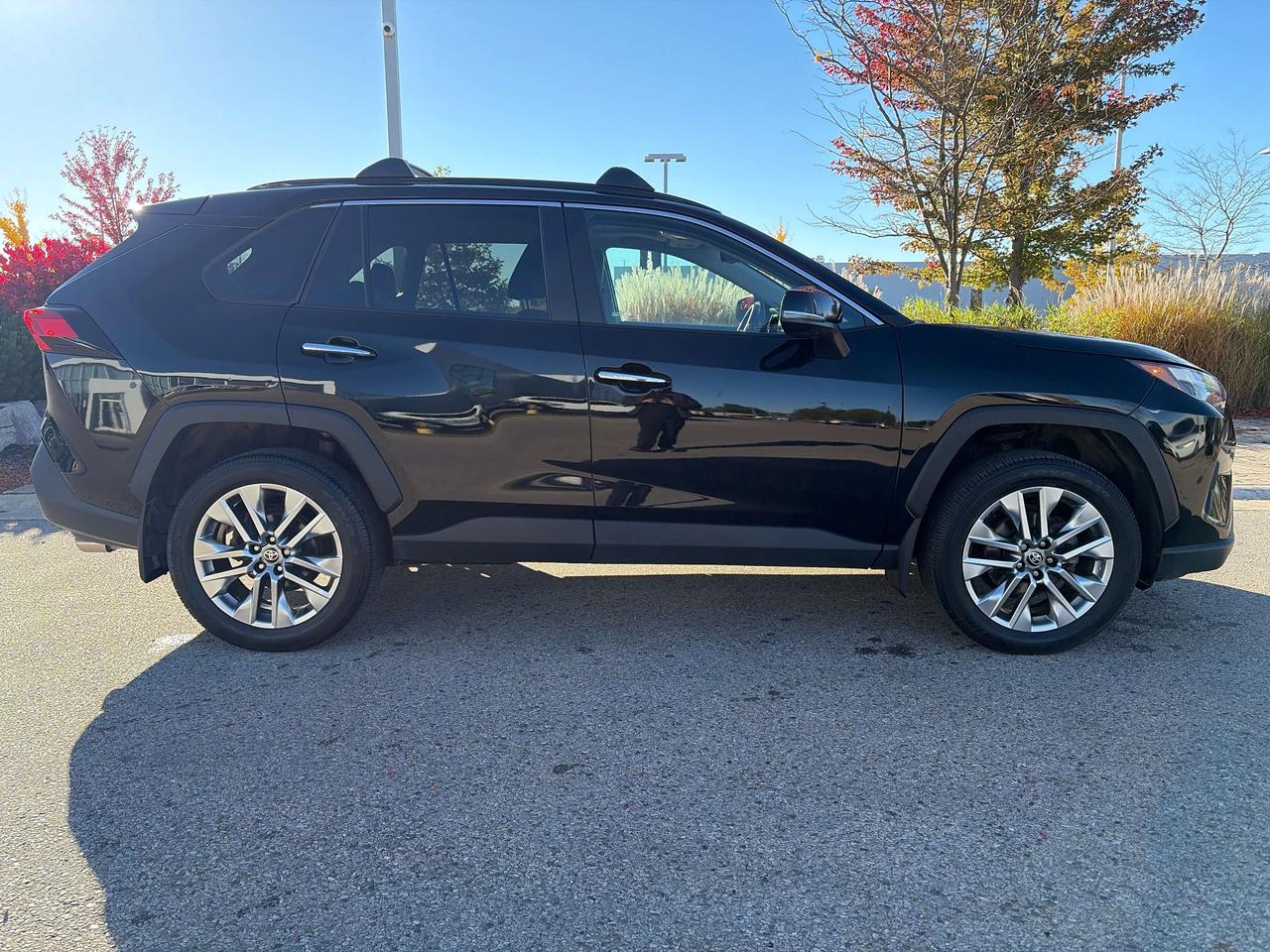 2024 Toyota RAV4 LIMITED  Photo